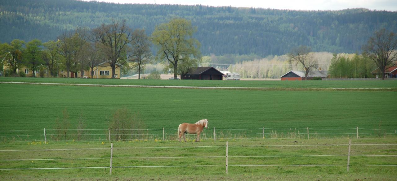 Vallby Farm Camp Örebro Exterior foto